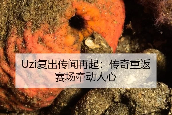 Uzi复出传闻再起：传奇重返赛场牵动人心
